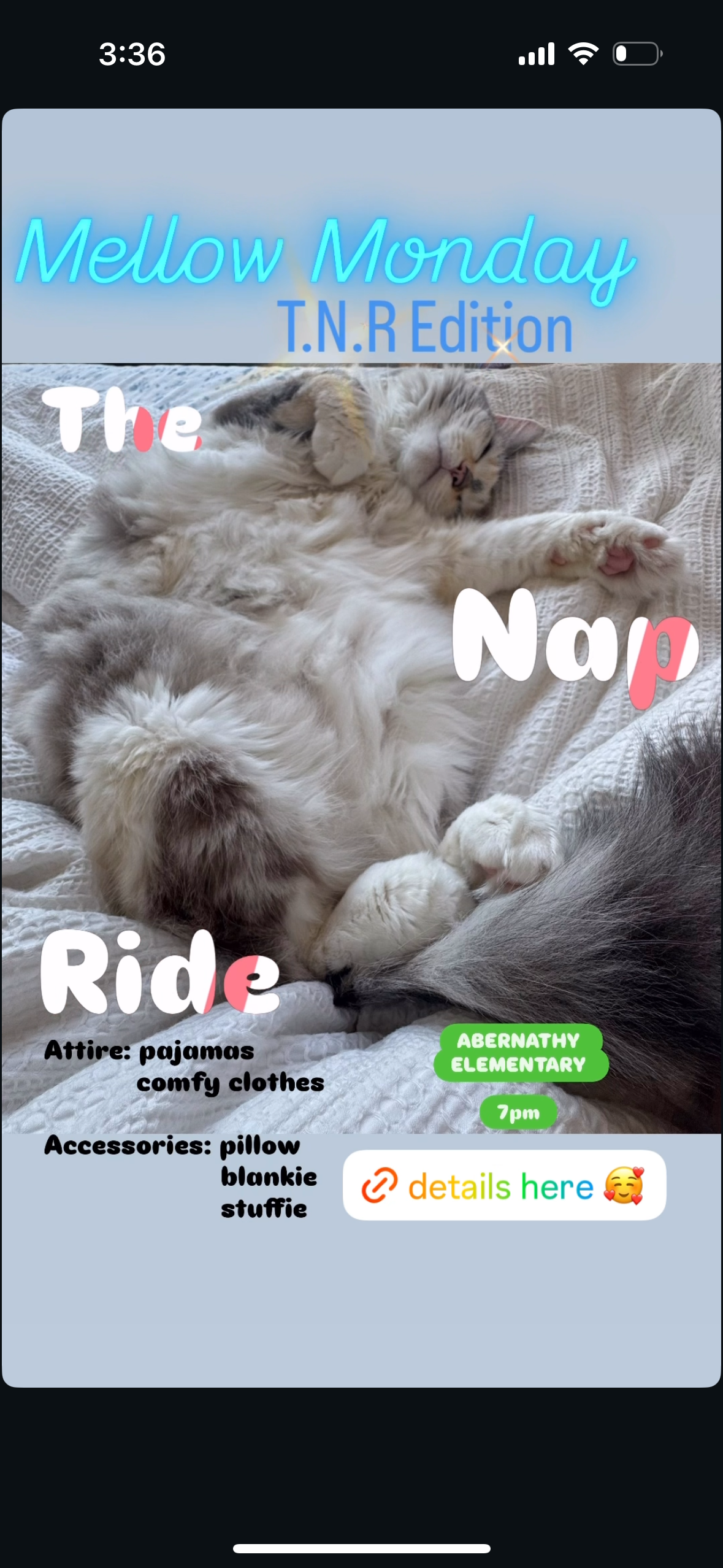 User-uploaded image for Mellow Monday: TNR Edition