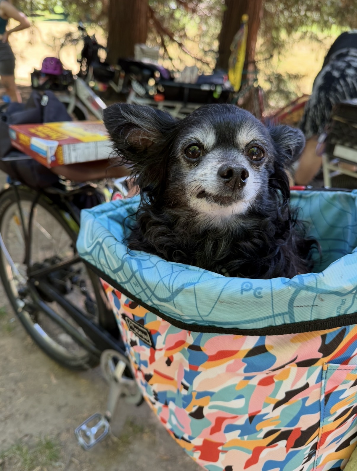 User-uploaded image for Poppy D Pirate’s 12th Birthday Ride To Ice Cream
